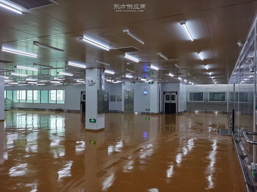 科技賦能 現(xiàn)代化罐頭食品生產(chǎn)凈化車間設計新理念與實踐